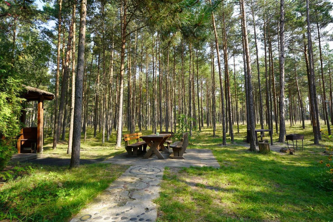 Forest Cottage Neringa Екстериор снимка